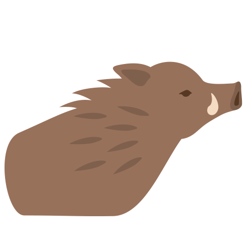 イノシシ