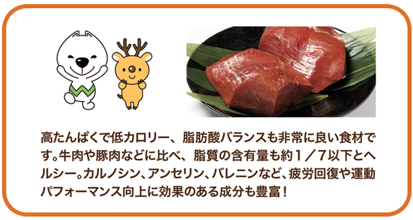 シカ肉の説明