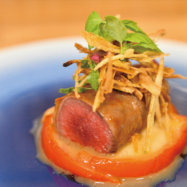 GASTROTERIA F